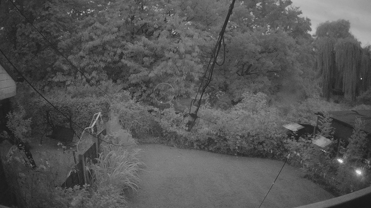 20260809_201804_cam1.jpg