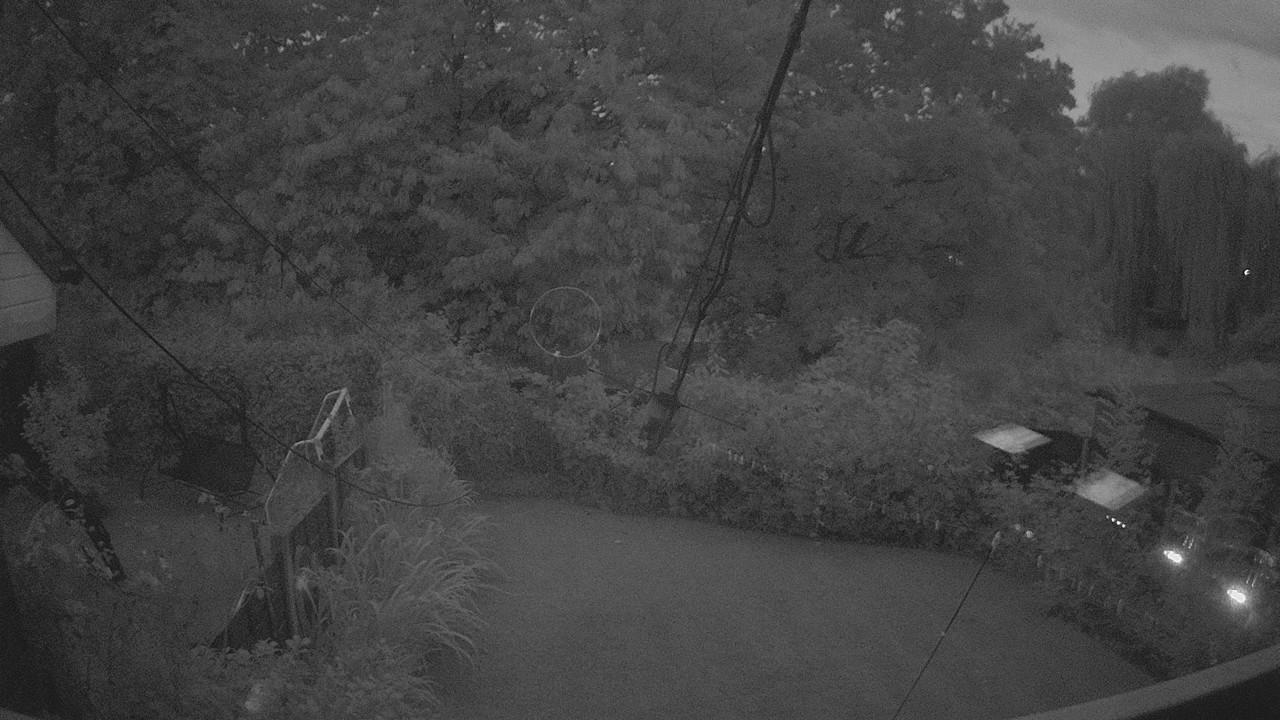 20260809_202214_cam1.jpg