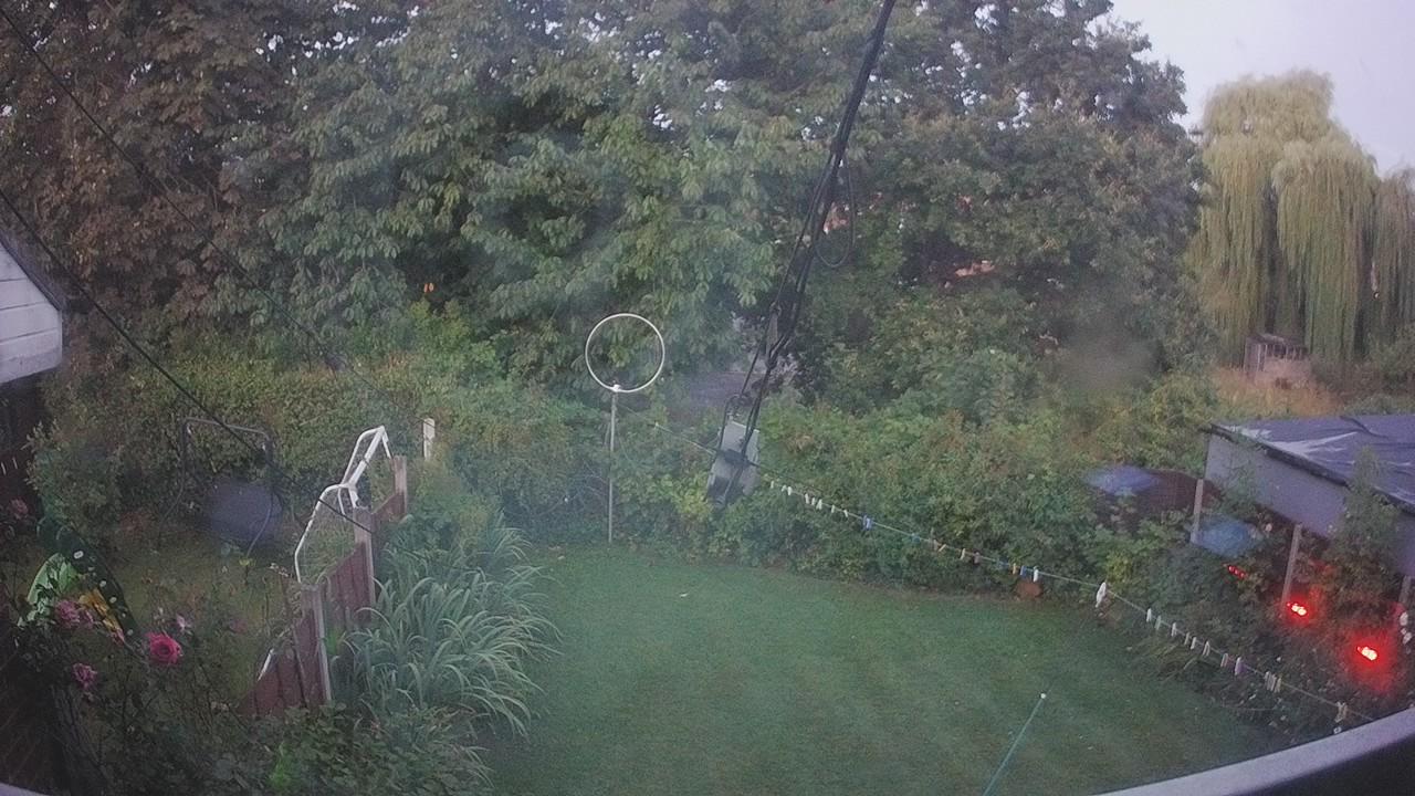 20260810_041749_cam1.jpg