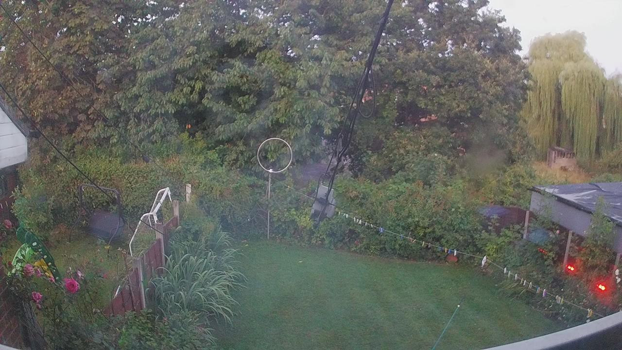 20260810_042158_cam1.jpg