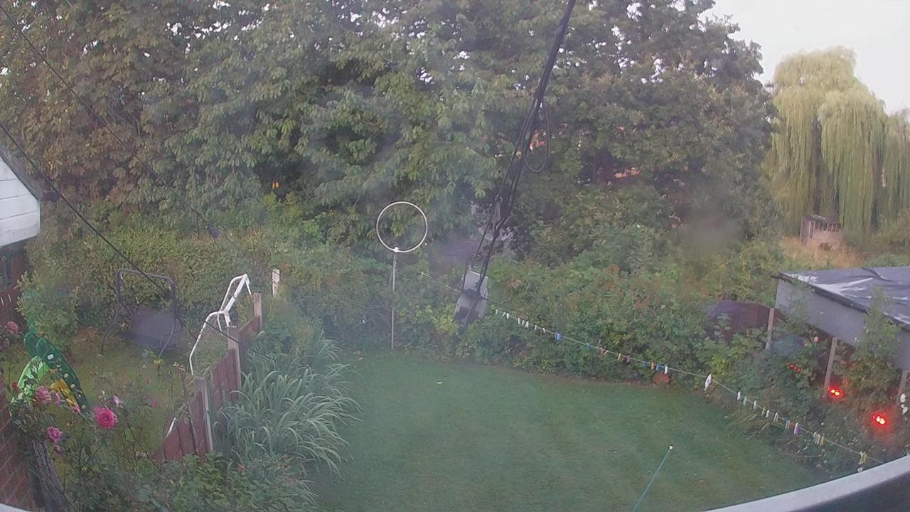 20260810_042607_cam1.jpg