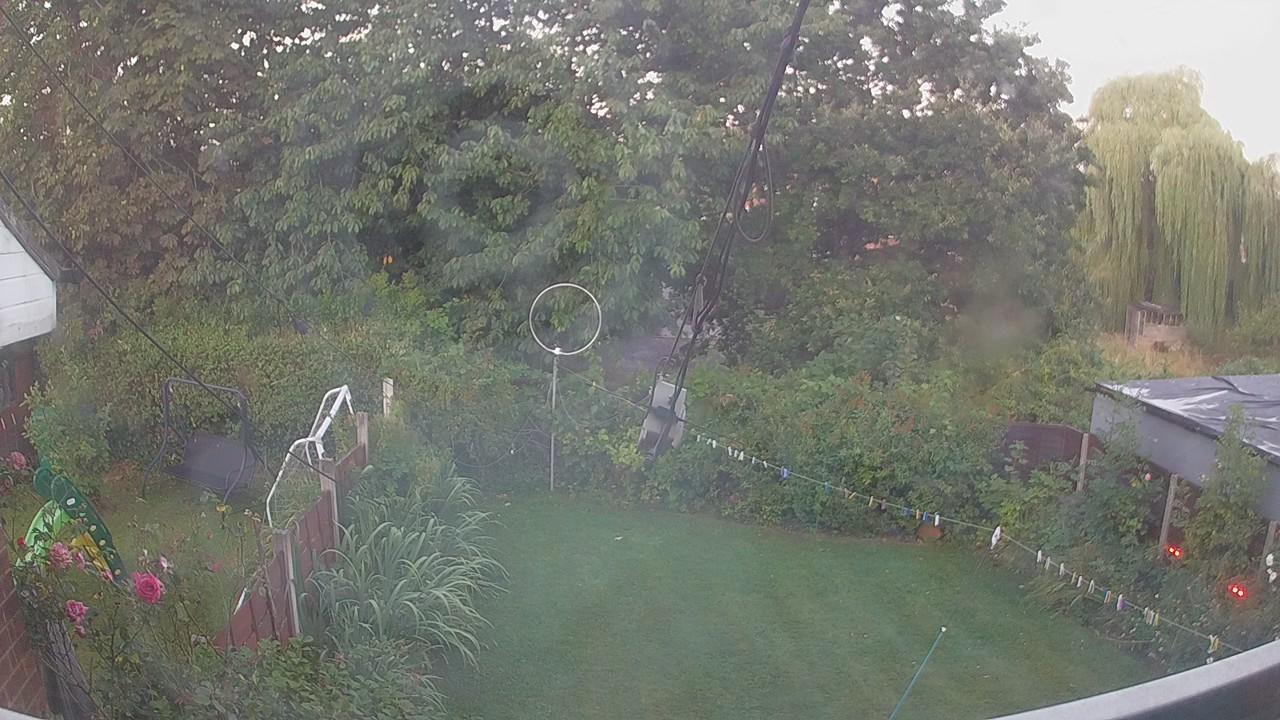20260810_043901_cam1.jpg