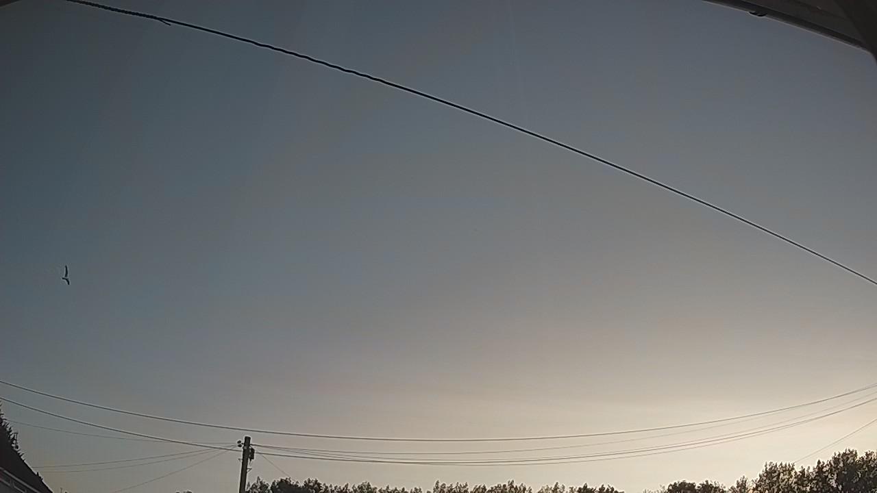 20260810_045156_cam2.jpg