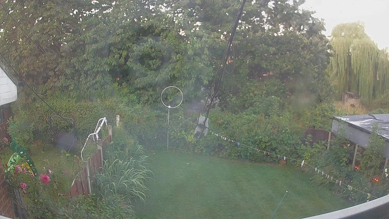 20260810_045613_cam1.jpg