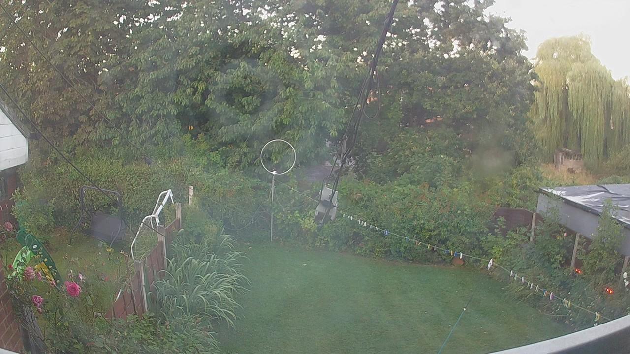20260810_050031_cam1.jpg