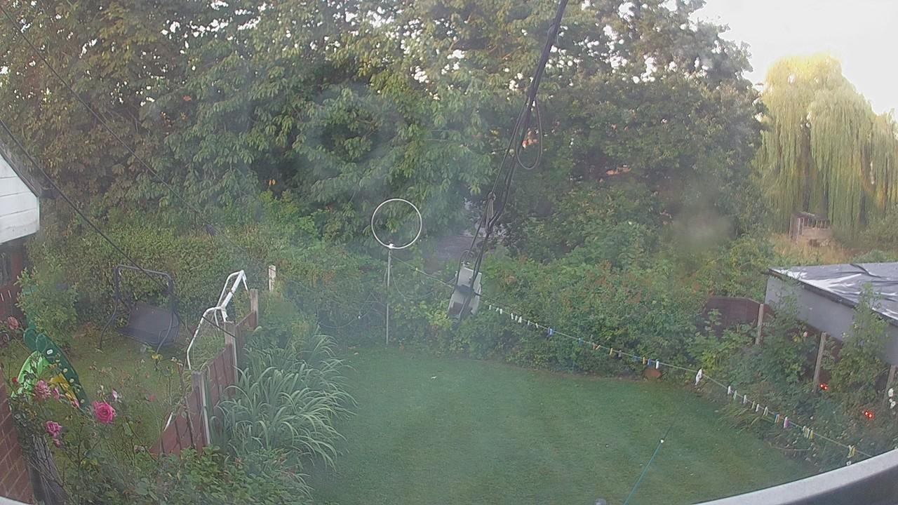 20260810_051325_cam1.jpg
