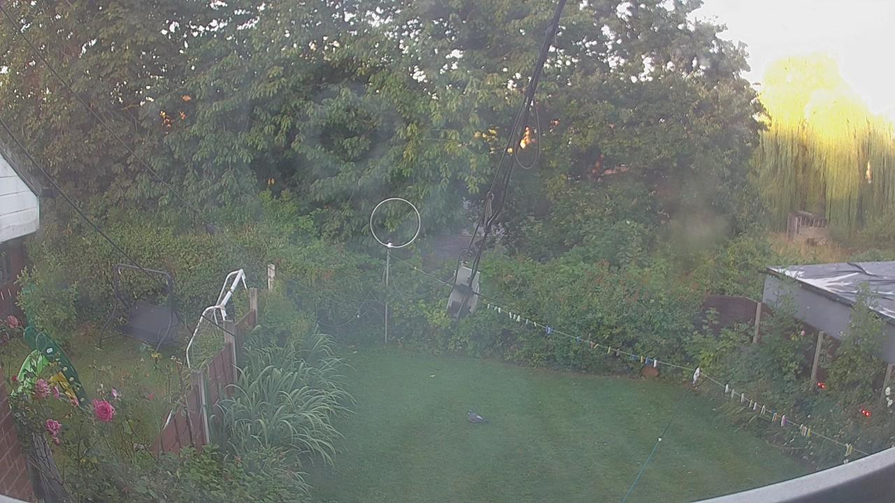 20260810_052618_cam1.jpg