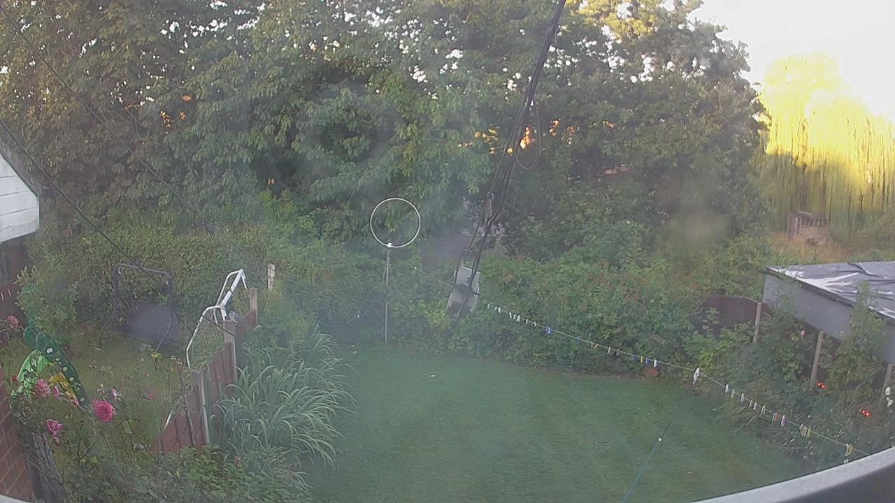 20260810_053044_cam1.jpg