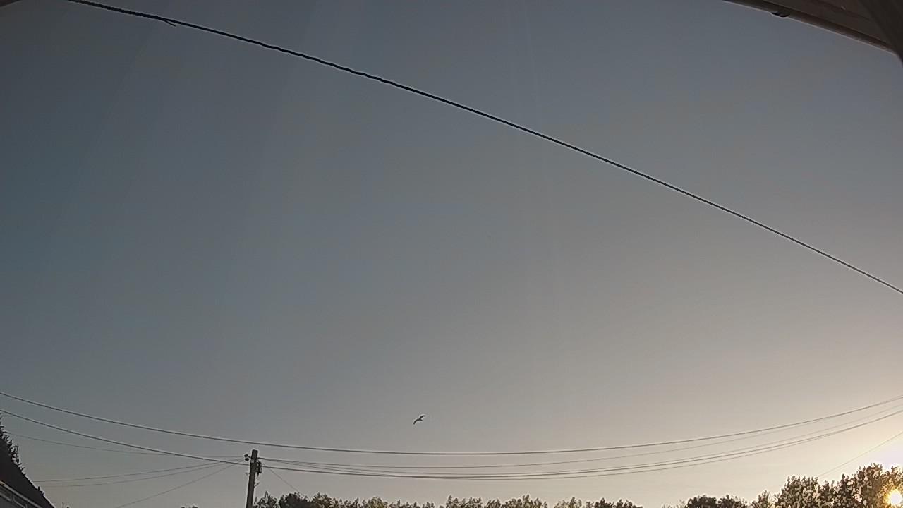 20260810_053045_cam2.jpg