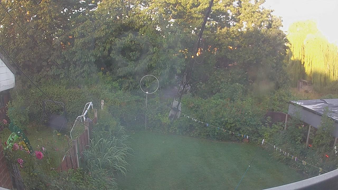 20260810_053510_cam1.jpg
