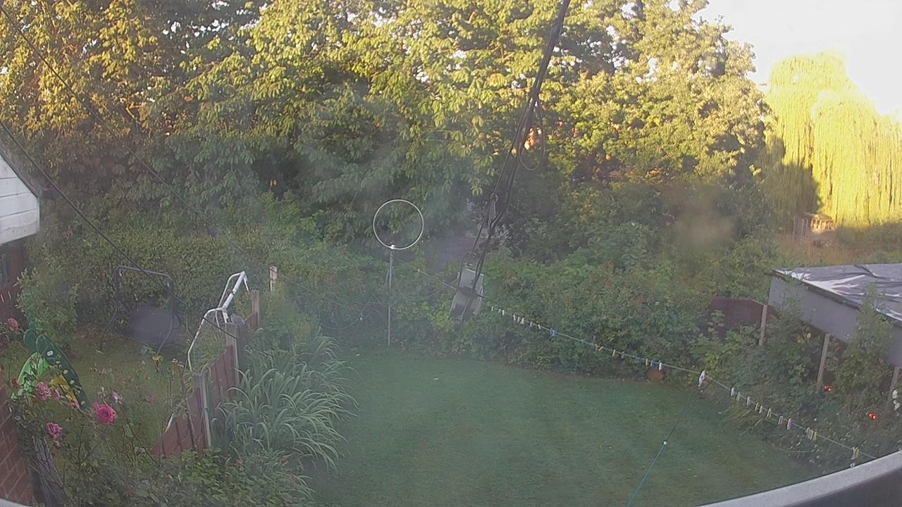 20260810_053936_cam1.jpg