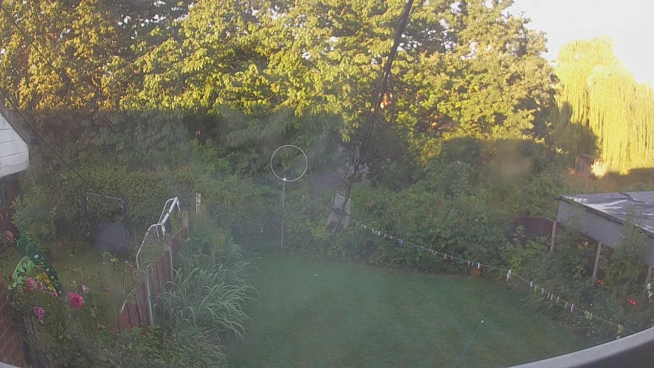 20260810_054403_cam1.jpg