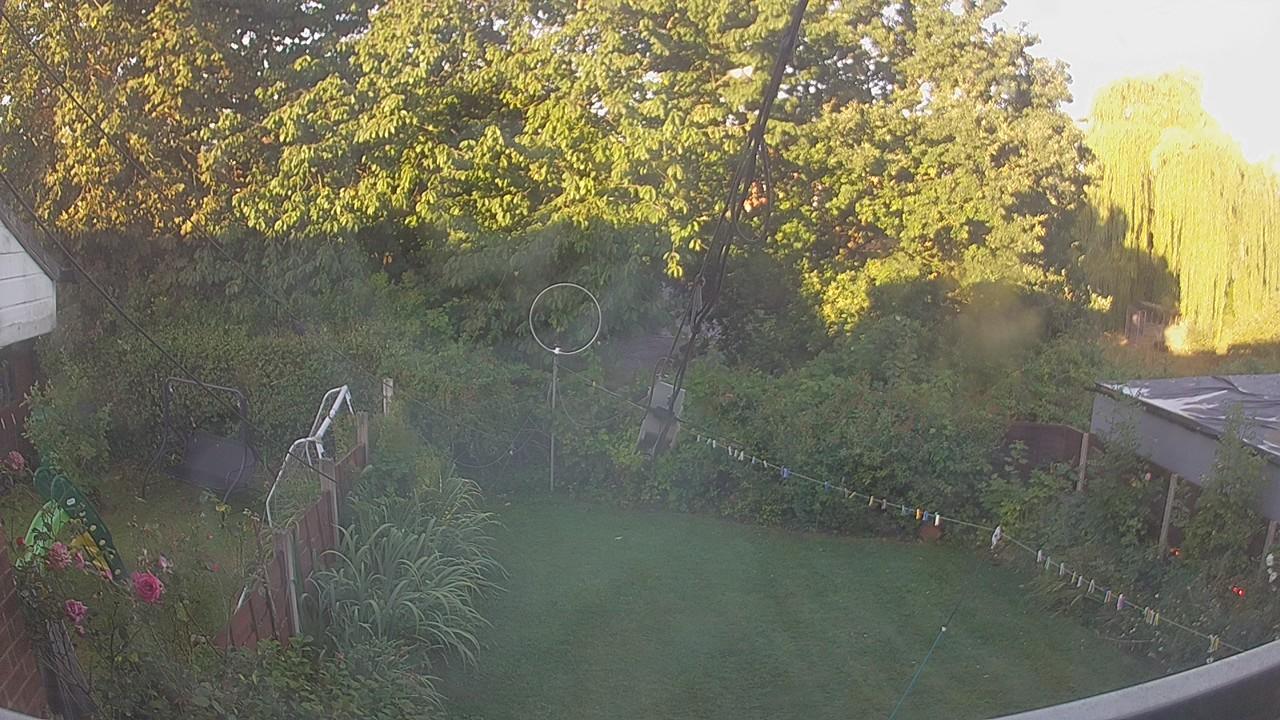 20260810_054831_cam1.jpg