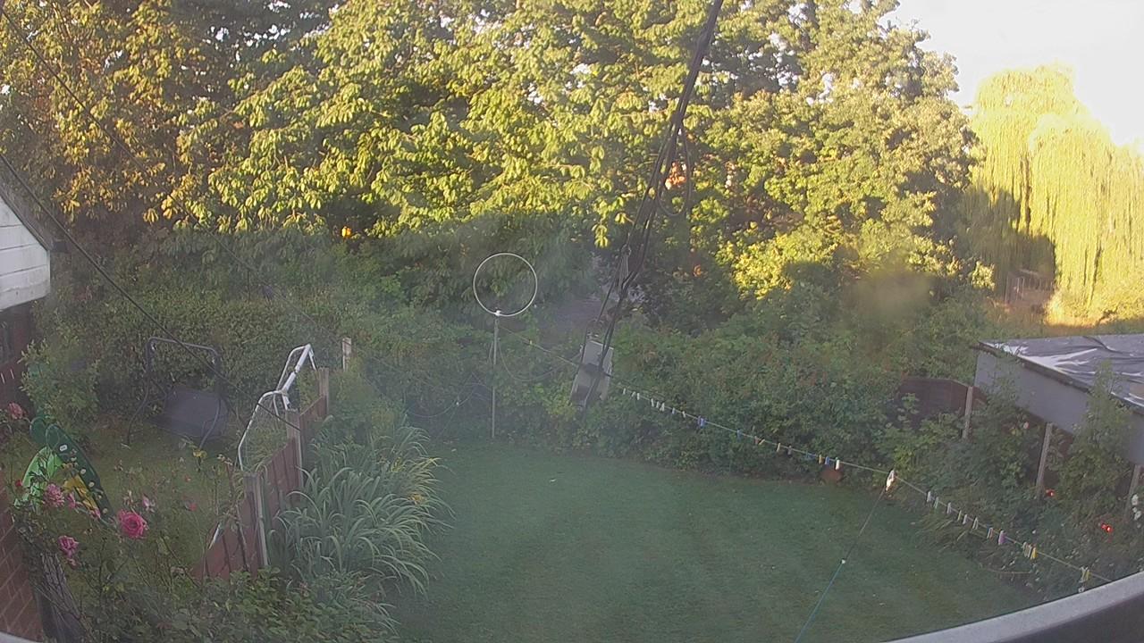 20260810_055259_cam1.jpg