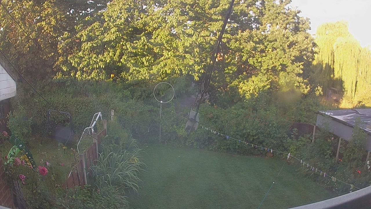 20260810_055726_cam1.jpg