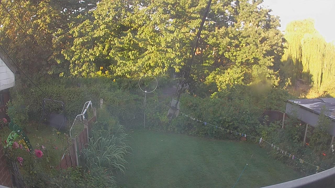 20260810_060153_cam1.jpg