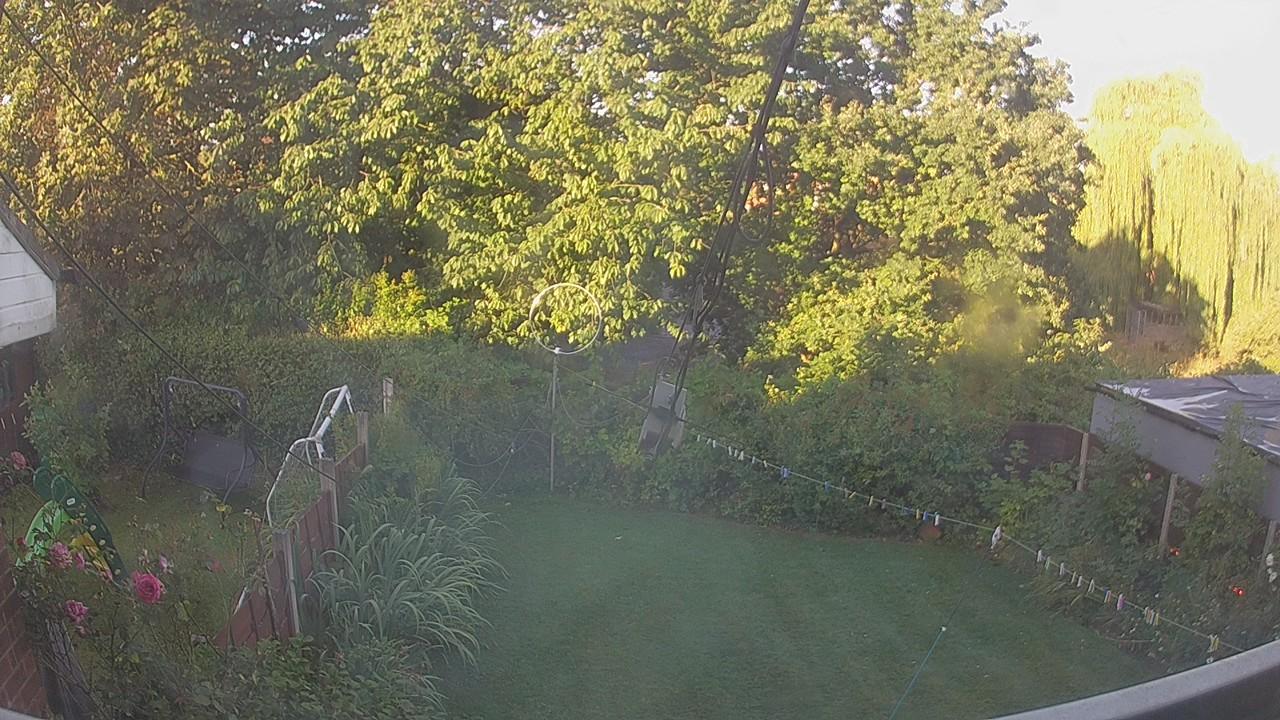 20260810_061048_cam1.jpg