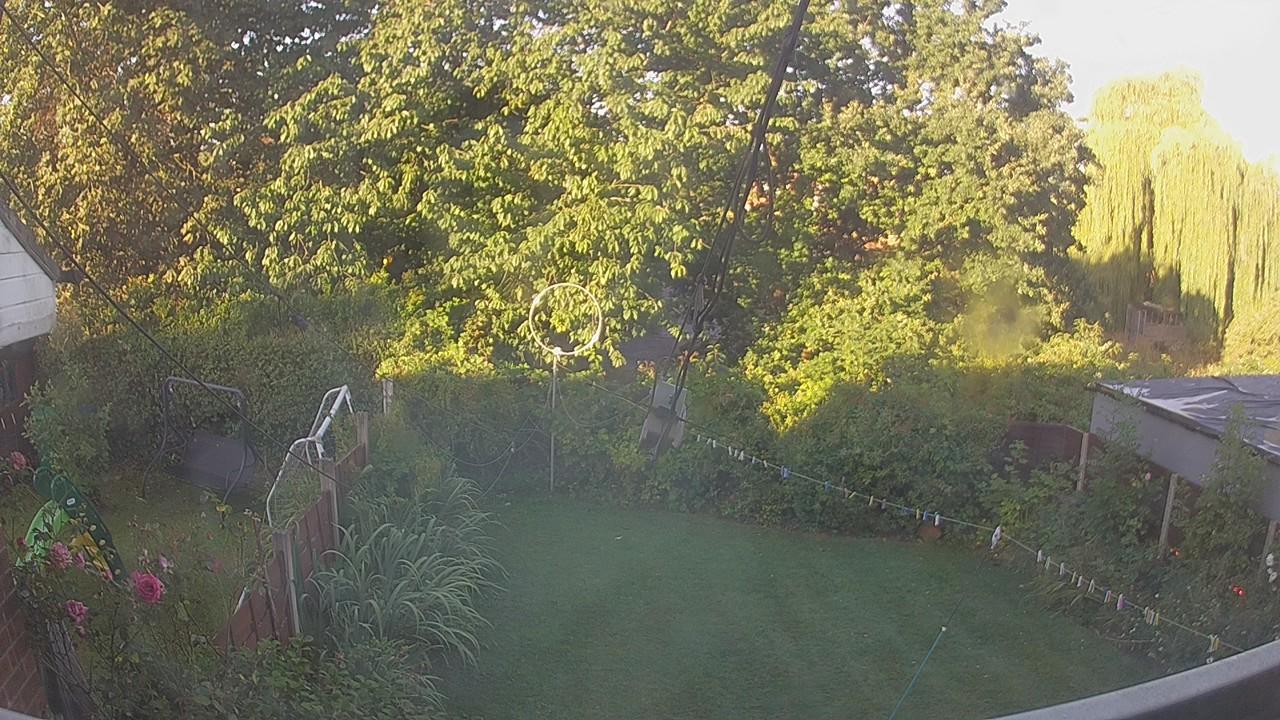 20260810_061942_cam1.jpg