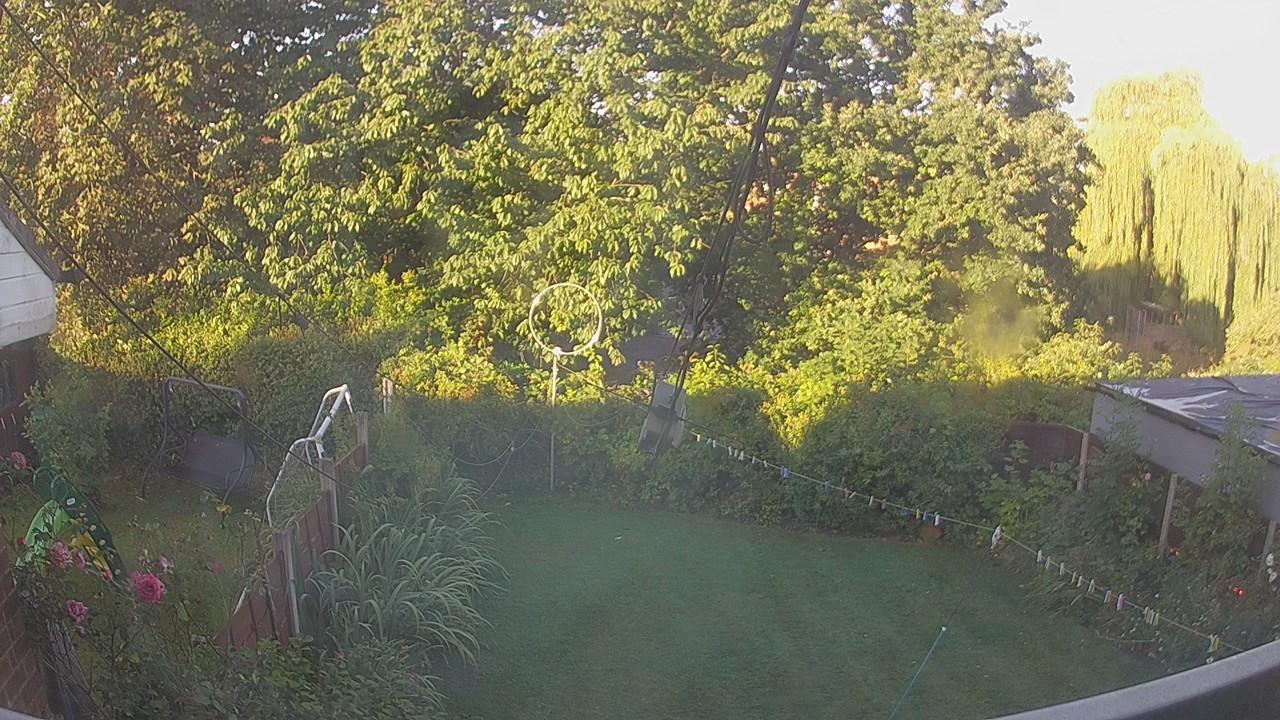 20260810_062410_cam1.jpg