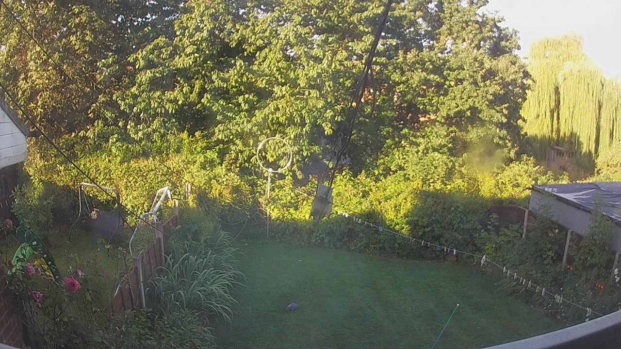 20260810_063305_cam1.jpg