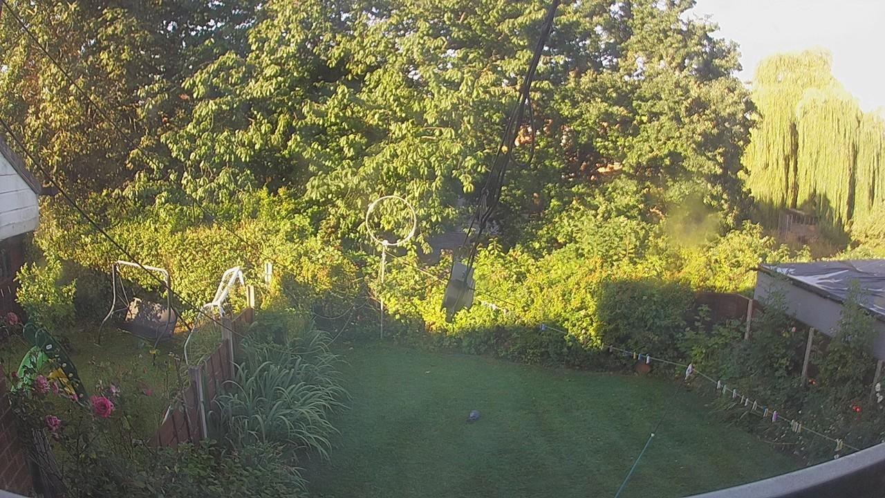 20260810_063732_cam1.jpg