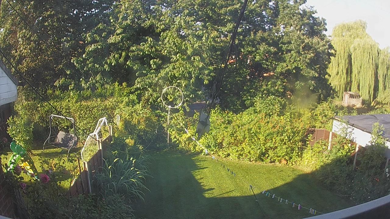20260810_071736_cam1.jpg