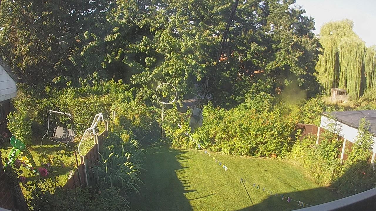 20260810_074339_cam1.jpg