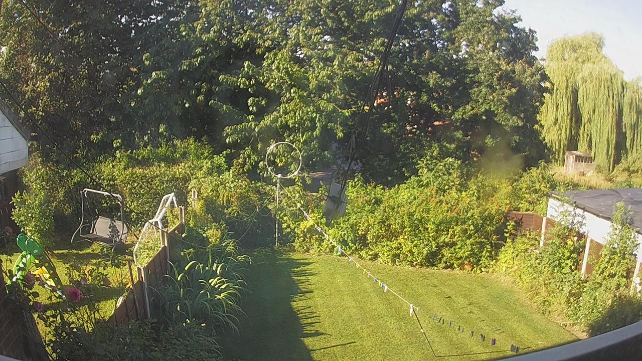 20260810_080043_cam1.jpg