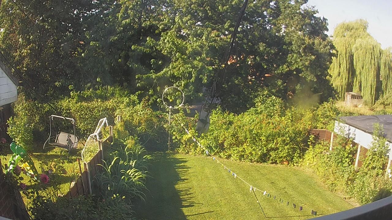 20260810_080901_cam1.jpg