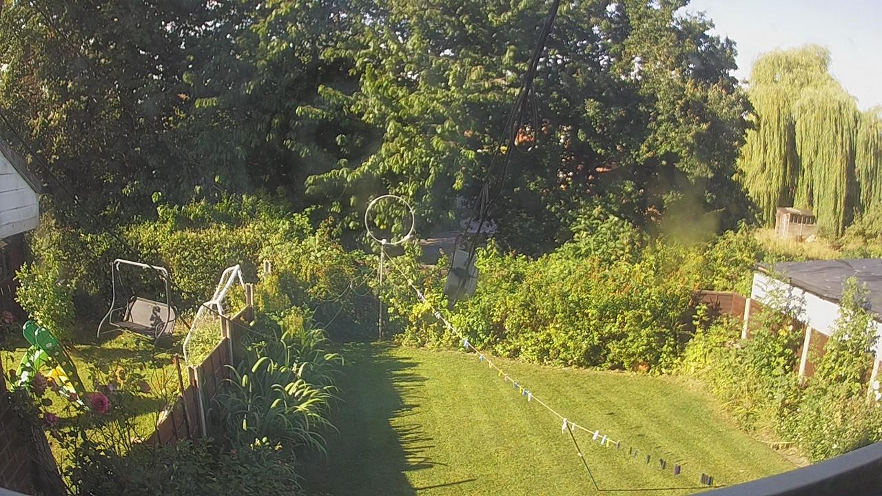 20260810_081310_cam1.jpg