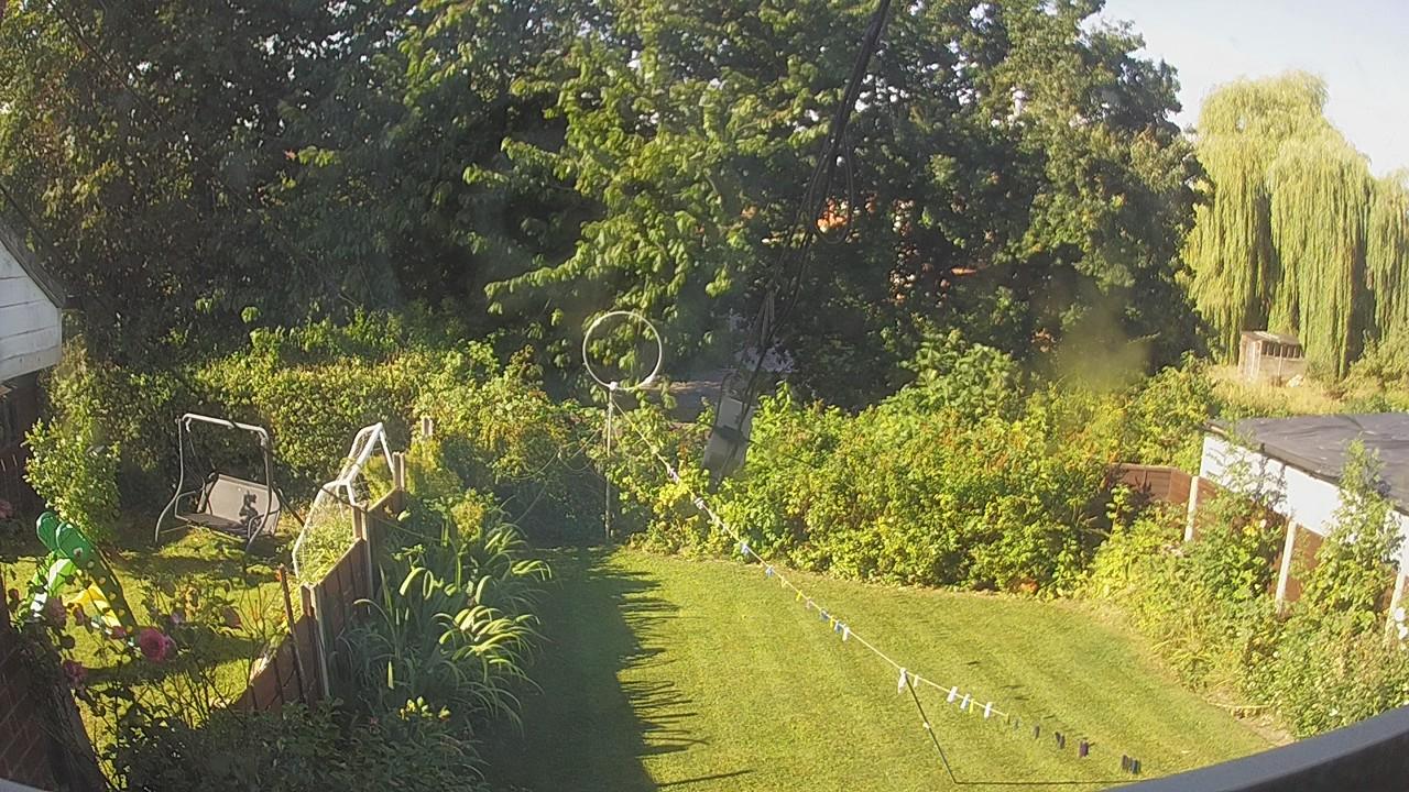 20260810_081720_cam1.jpg