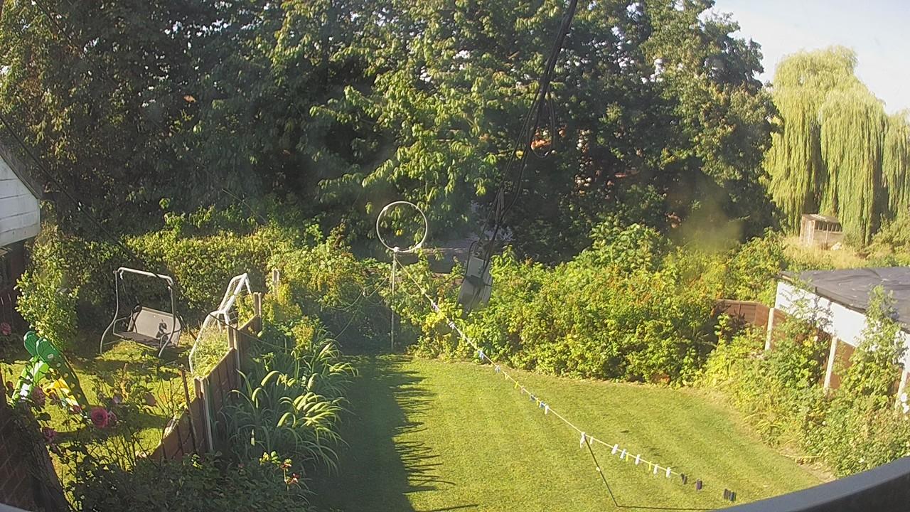 20260810_082540_cam1.jpg