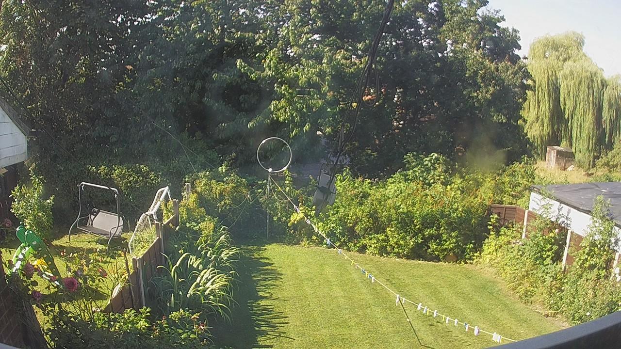 20260810_090815_cam1.jpg