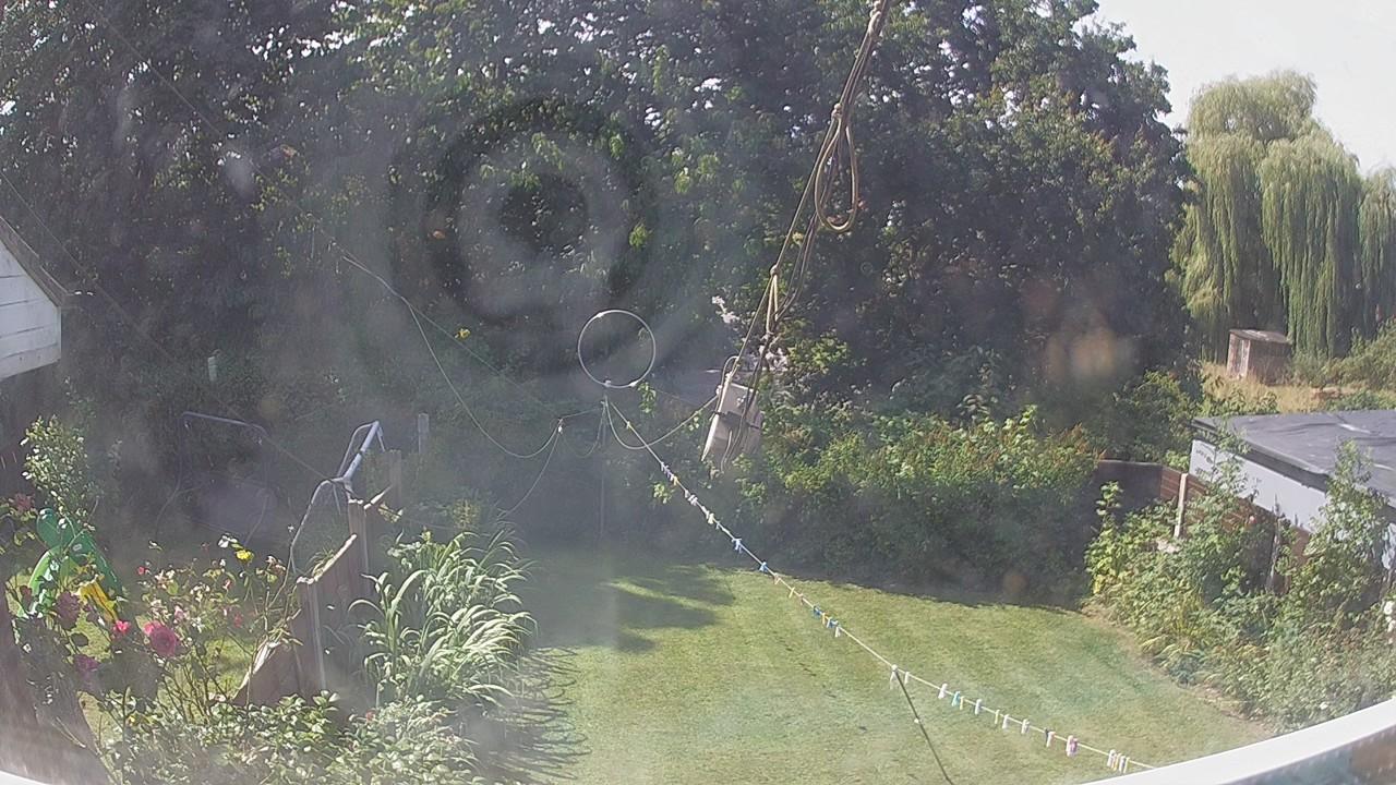 20260810_110716_cam1.jpg