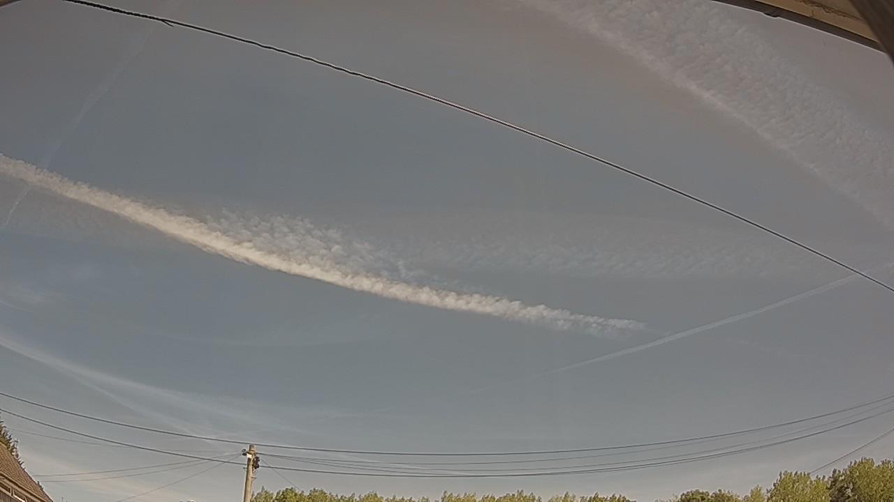 20260810_110718_cam2.jpg