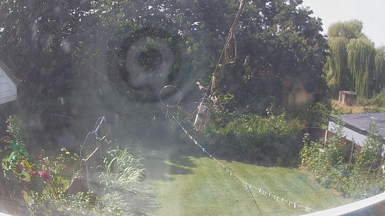20260810_111125_cam1.jpg