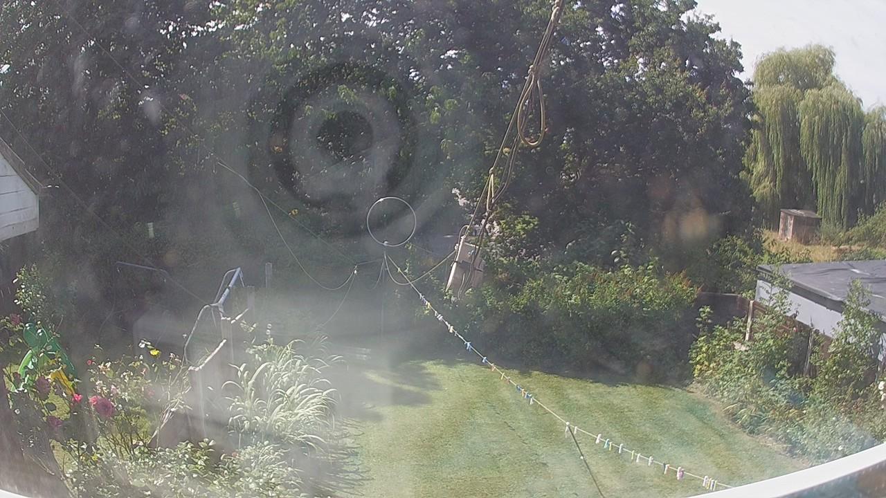 20260810_111535_cam1.jpg