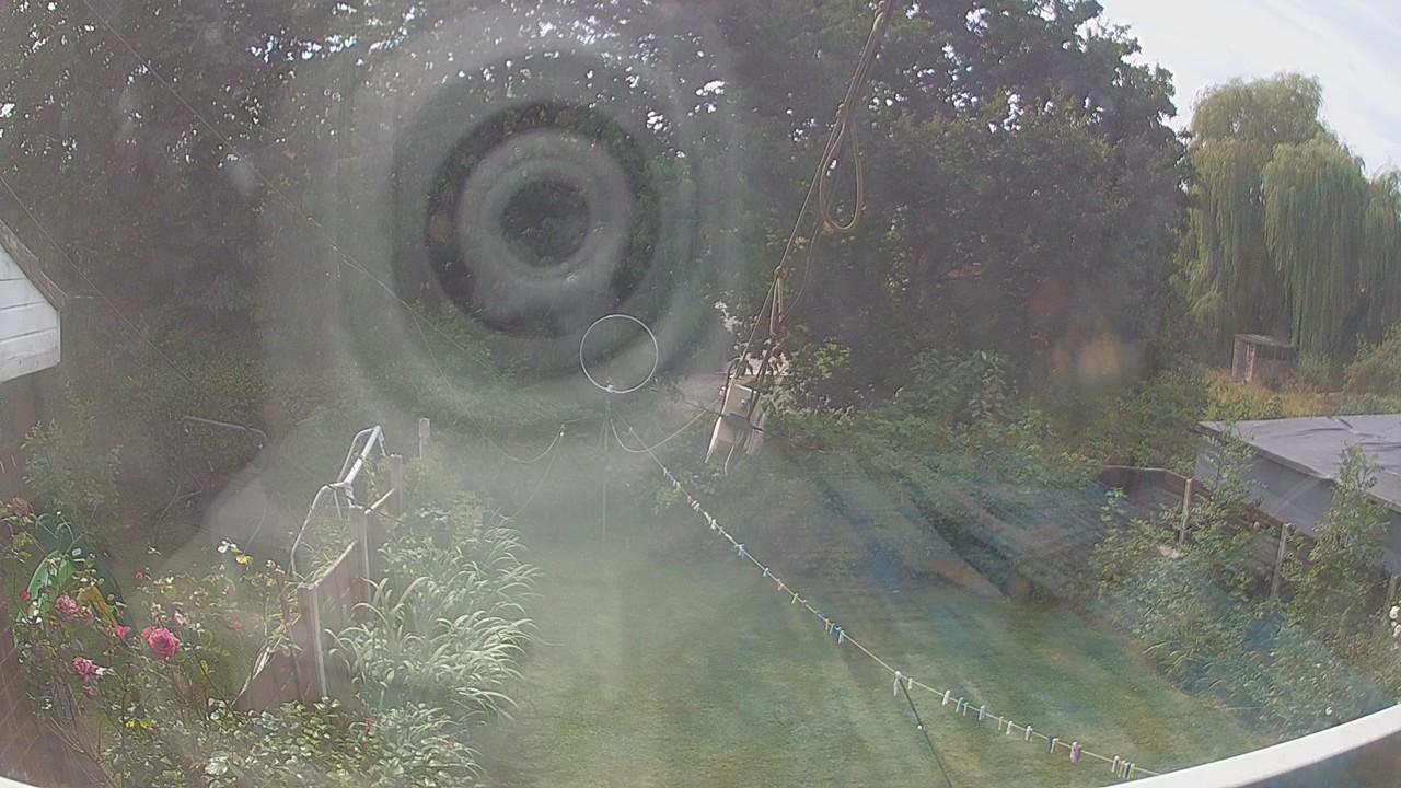 20260810_123020_cam1.jpg