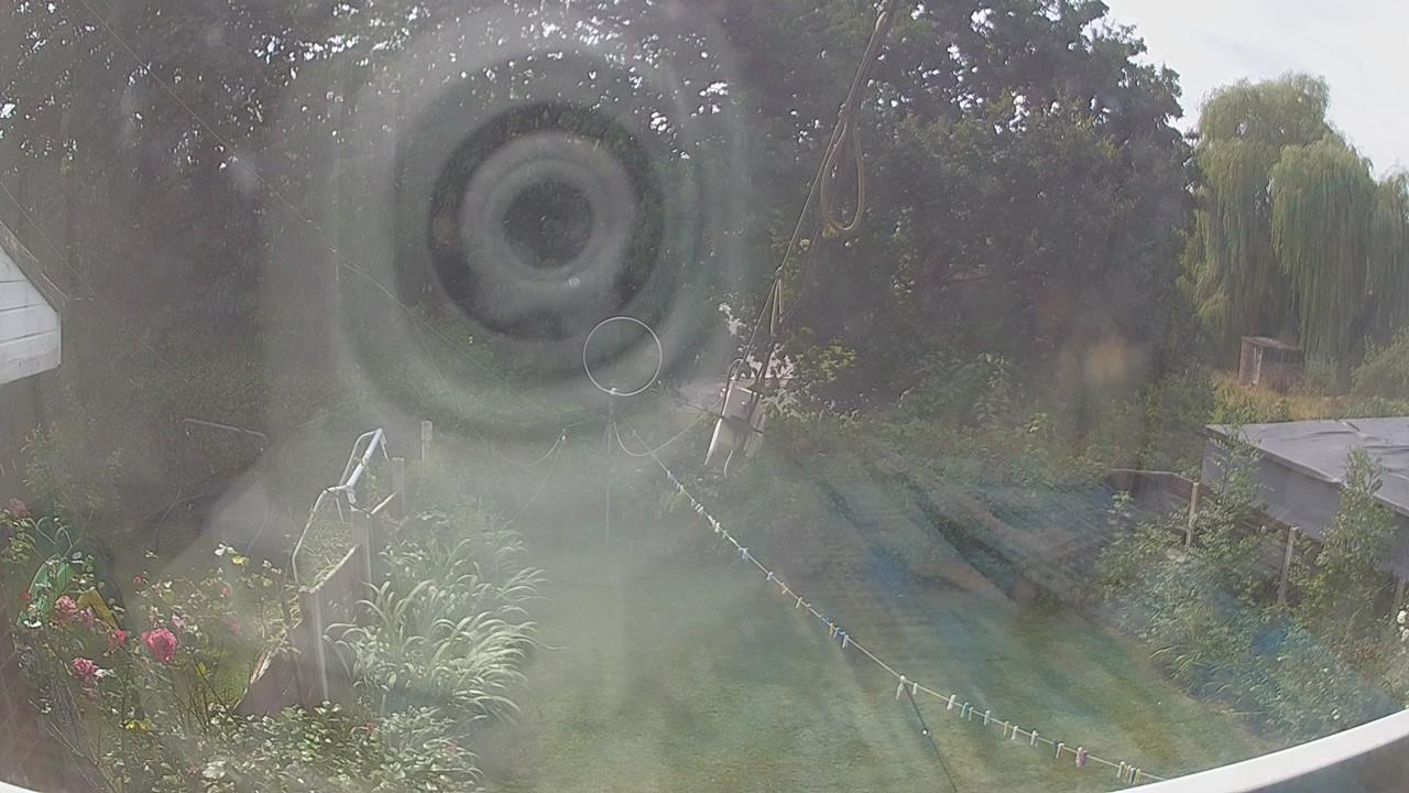 20260810_124247_cam1.jpg