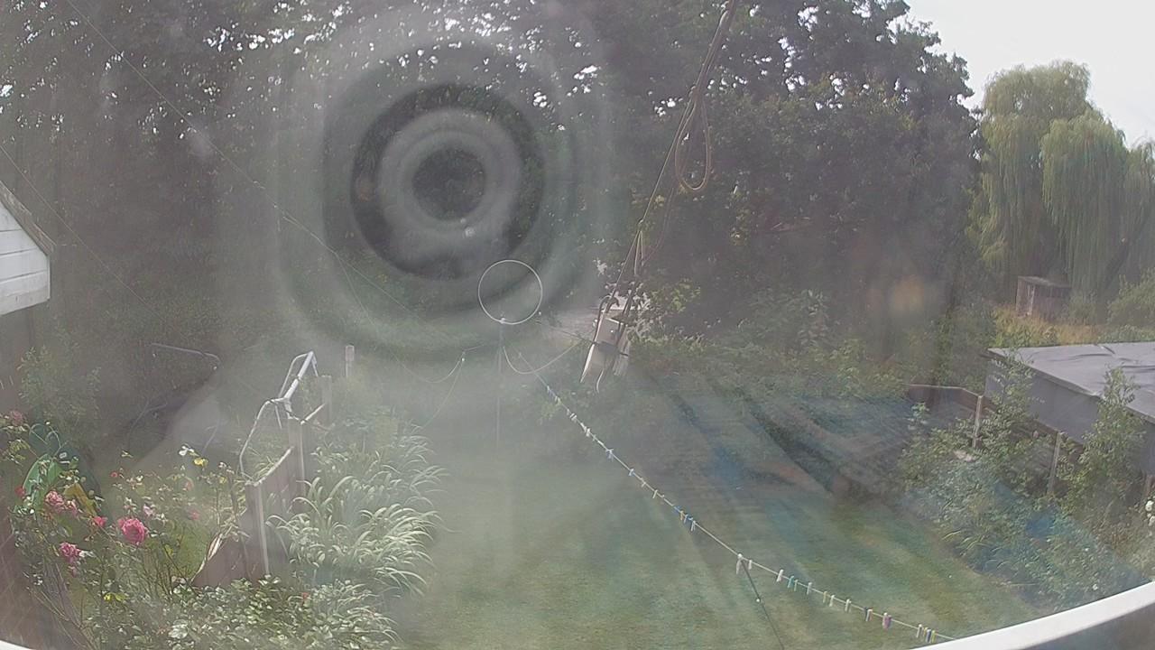 20260810_125105_cam1.jpg