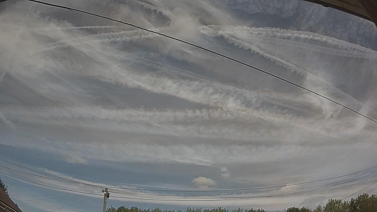 20260810_125106_cam2.jpg