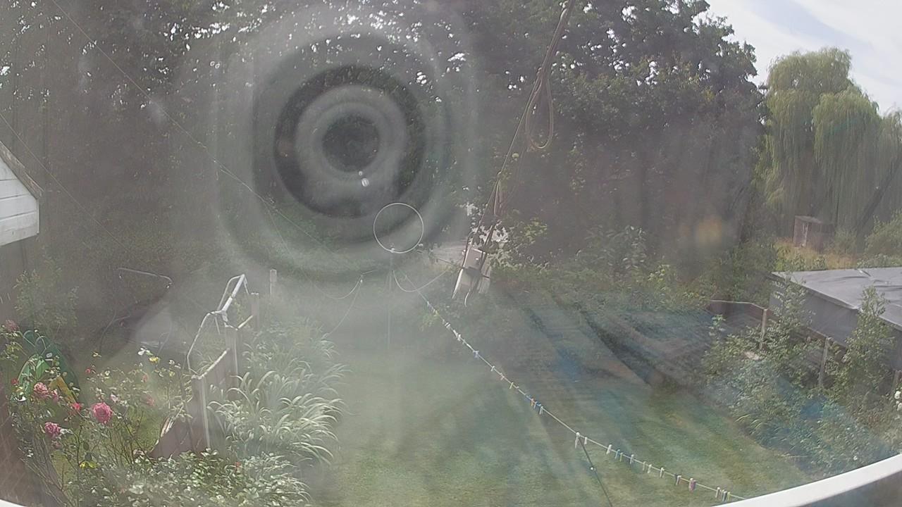 20260810_130741_cam1.jpg
