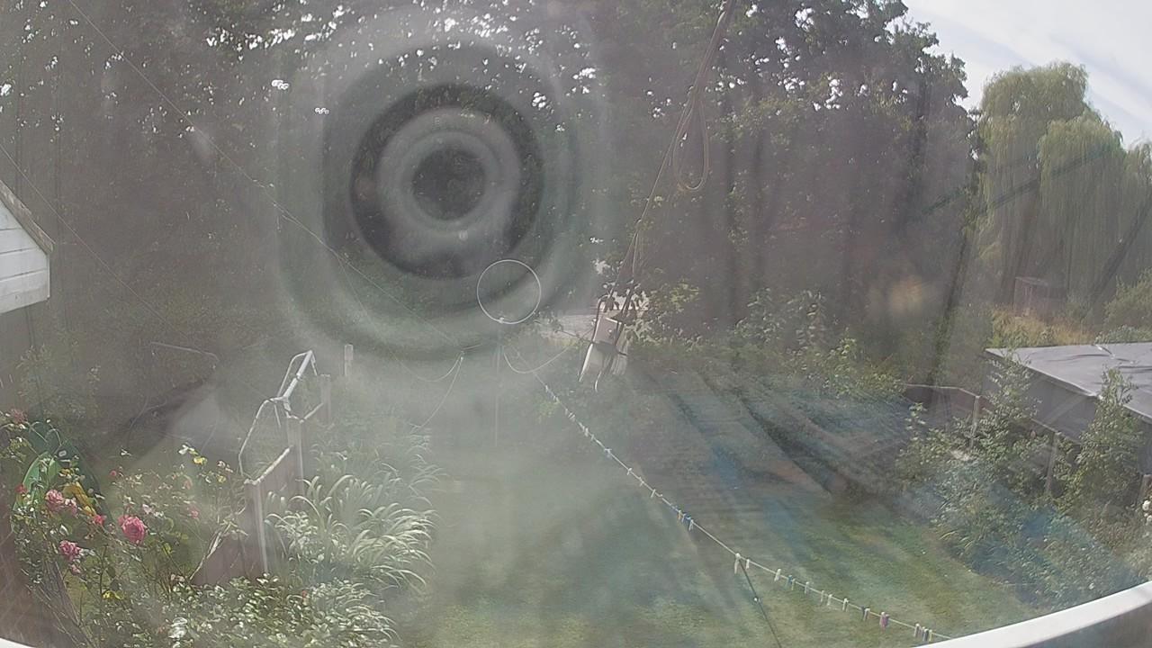 20260810_133232_cam1.jpg