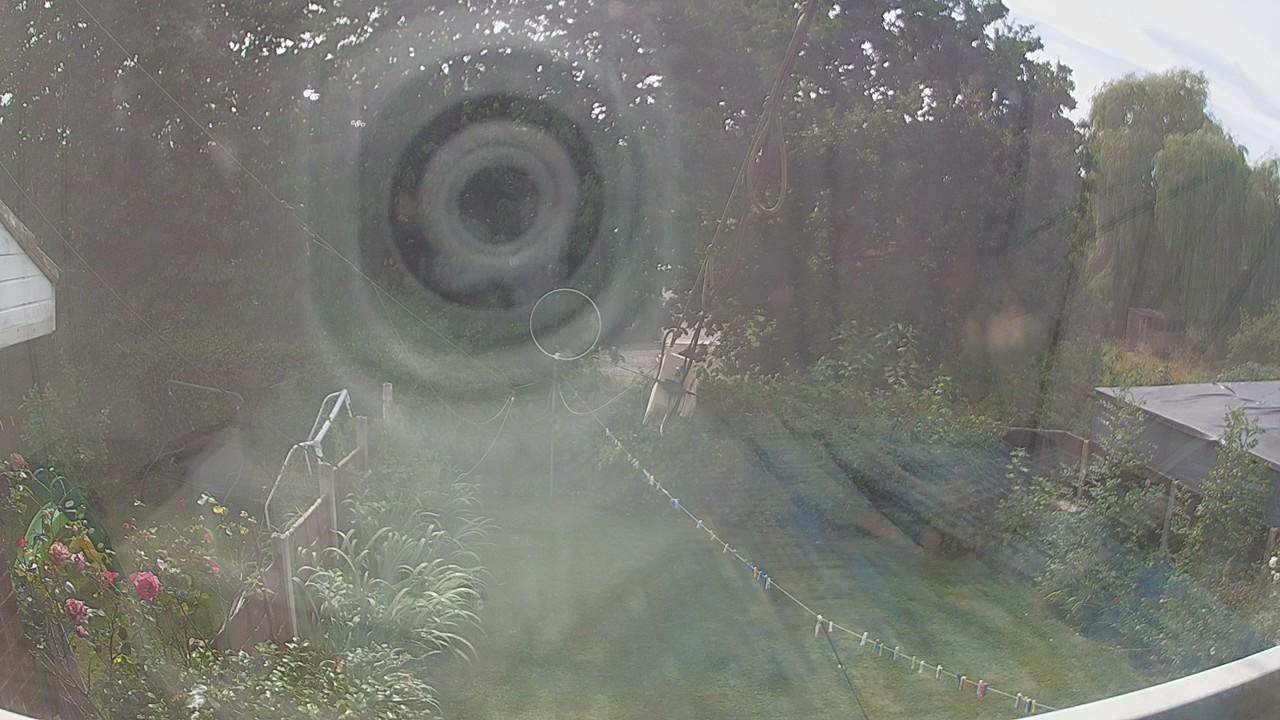 20260810_133641_cam1.jpg