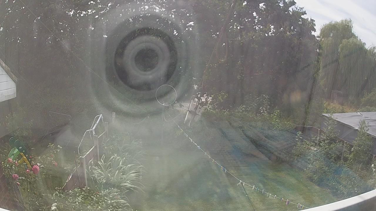 20260810_134051_cam1.jpg