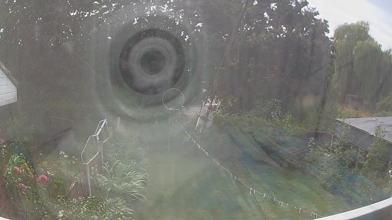 20260810_134500_cam1.jpg