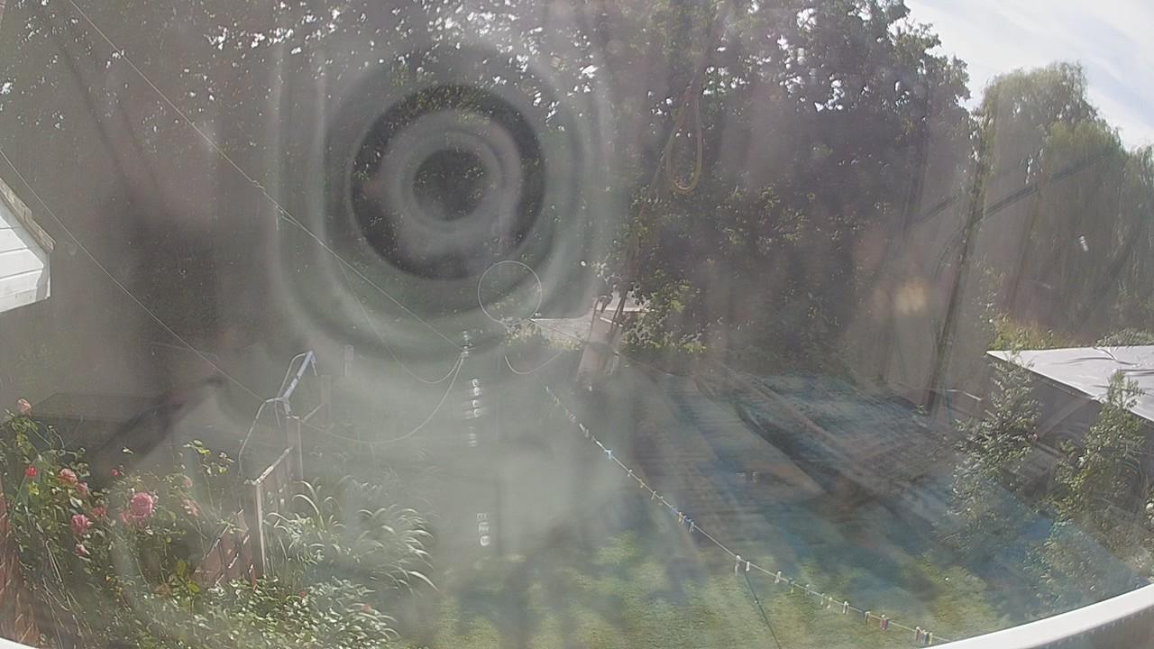 20260810_145222_cam1.jpg