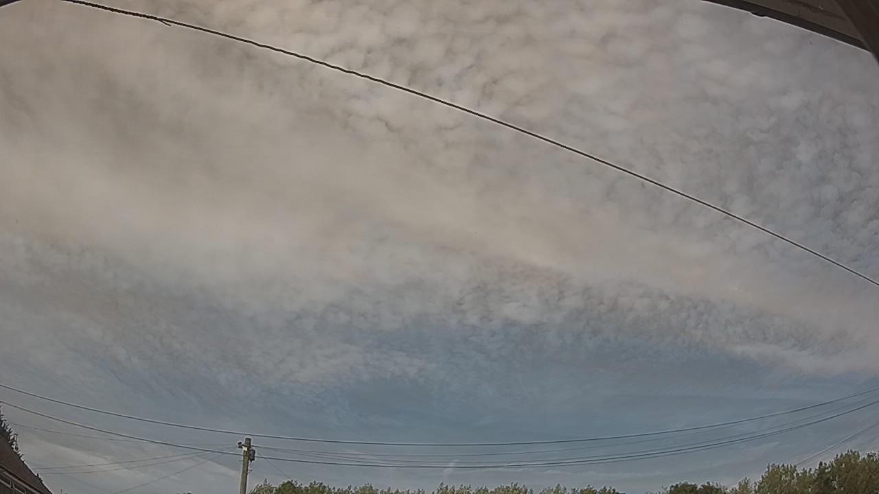 20260810_160020_cam2.jpg