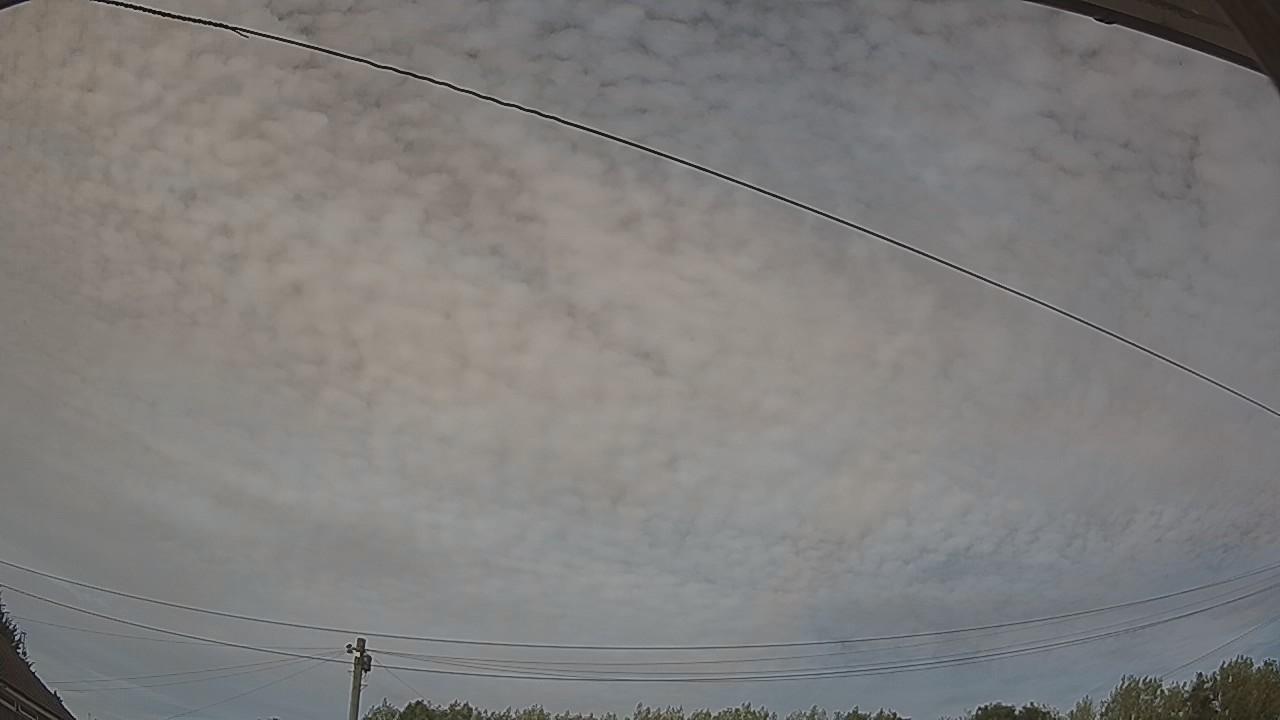 20260810_161544_cam2.jpg