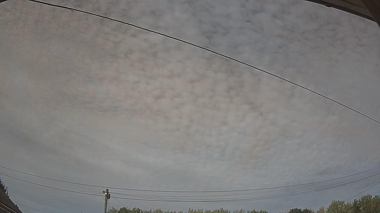20260810_161935_cam2.jpg